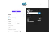 What The Fin coupon verification screenshot