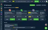 Wild.io coupon verification screenshot