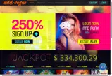 Wild Vegas Casino coupon verification screenshot
