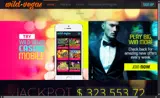 Wild Vegas Casino coupon verification screenshot