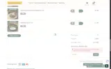 FESTIVE coupon verification screenshot