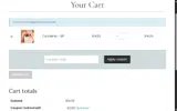 HOTMOMS20 coupon verification screenshot