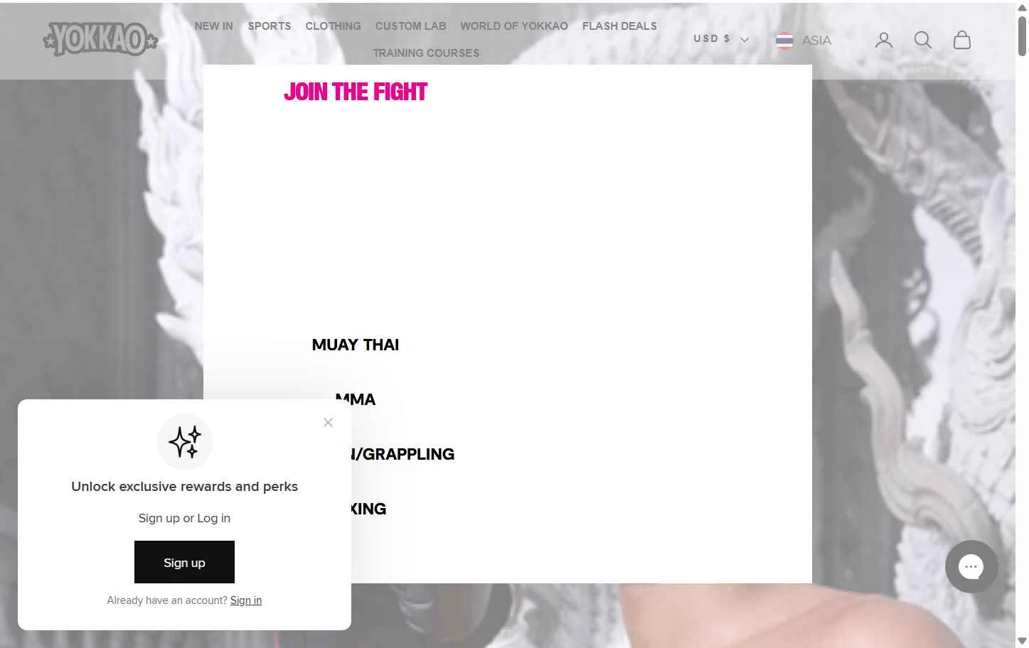 Yokkao Store checkout page showing Yokkao Store promo code box | Screenshot taken by SimplyCodes community member on Nov 19, 2025