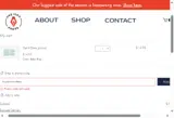buydiscountepic coupon verification screenshot