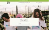 MOBA10 coupon verification screenshot