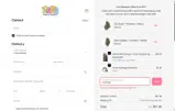 Zaza Delivery coupon verification screenshot