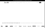 ZARA coupon verification screenshot