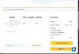 BIGSLOT coupon verification screenshot