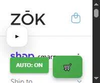 Zōk Relief checkout page showing Zōk Relief promo code box | Screenshot taken by SimplyCodes community member on Feb 10, 2026
