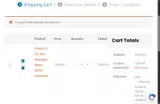 WELCOME10 coupon verification screenshot
