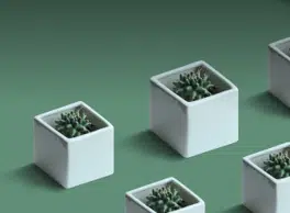 AeroGarden cover image