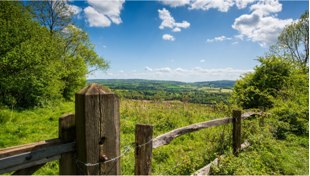 Expedia AARP discount